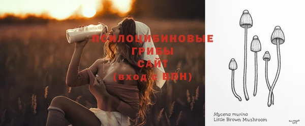 гидропоника Заводоуковск