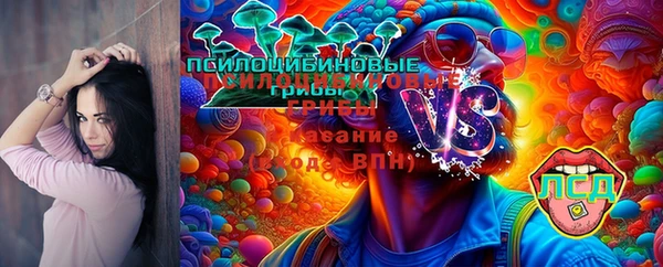 винт Заволжск